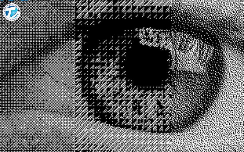  Bitmap được sử dụng phổ biến